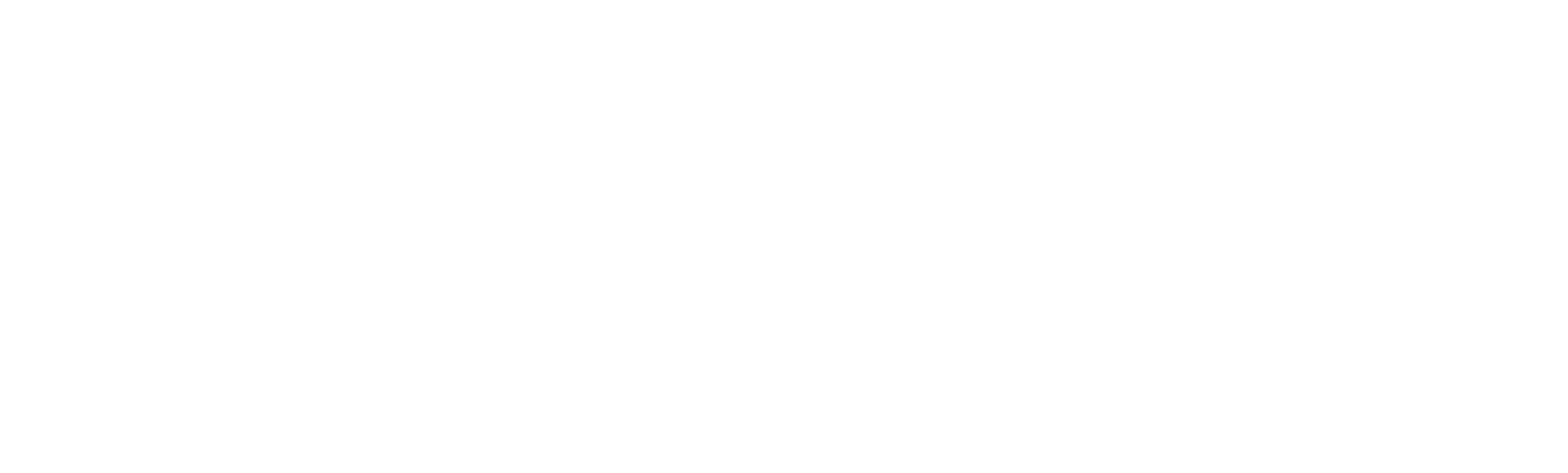 AIREX